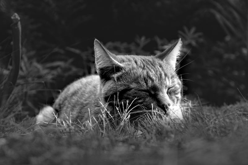 Importance of Rest